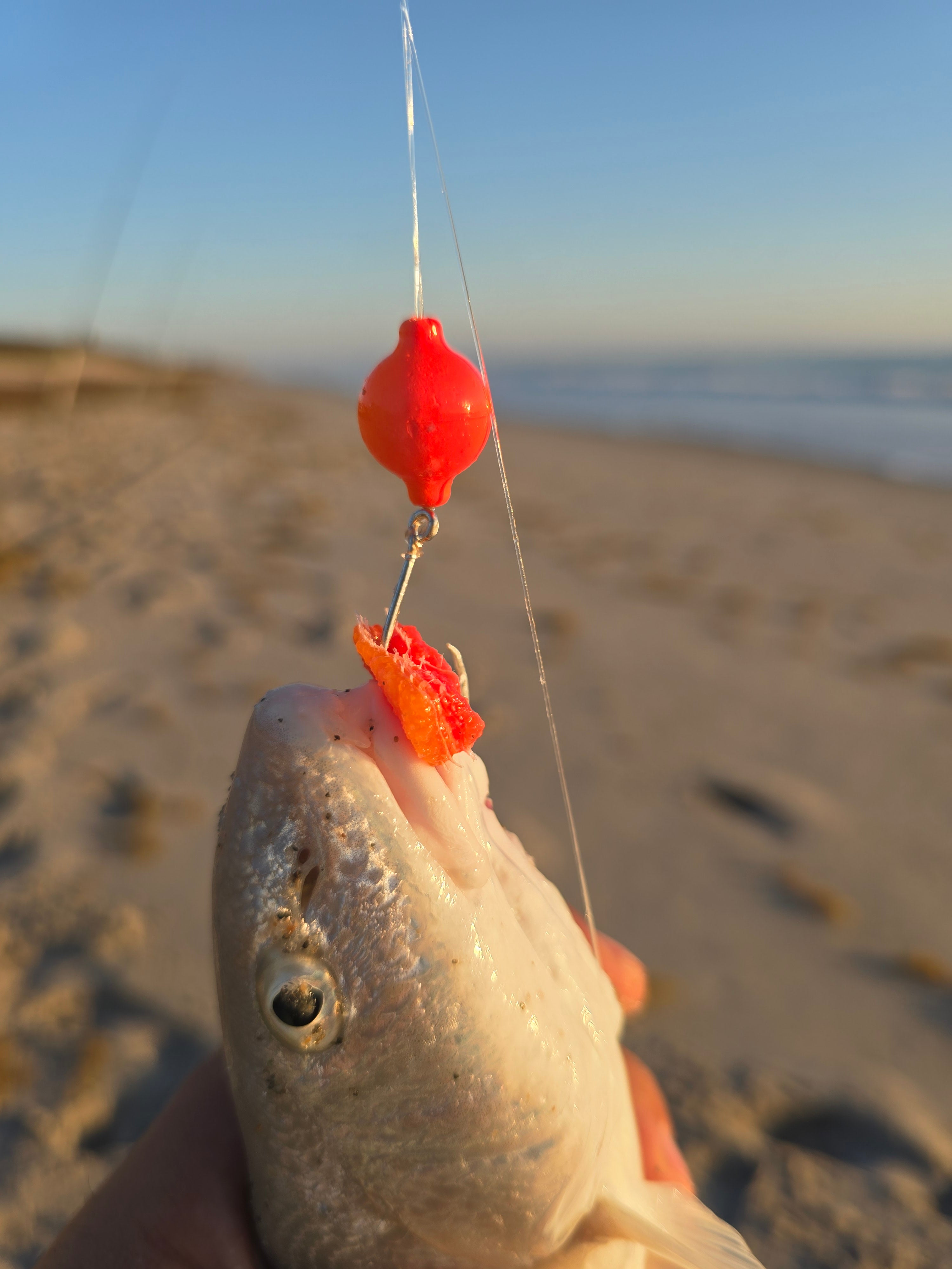 Fish Gum's 'Atomic Yabby' Color Match pompano Rig